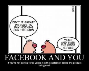 facebook-and-you-pigs
